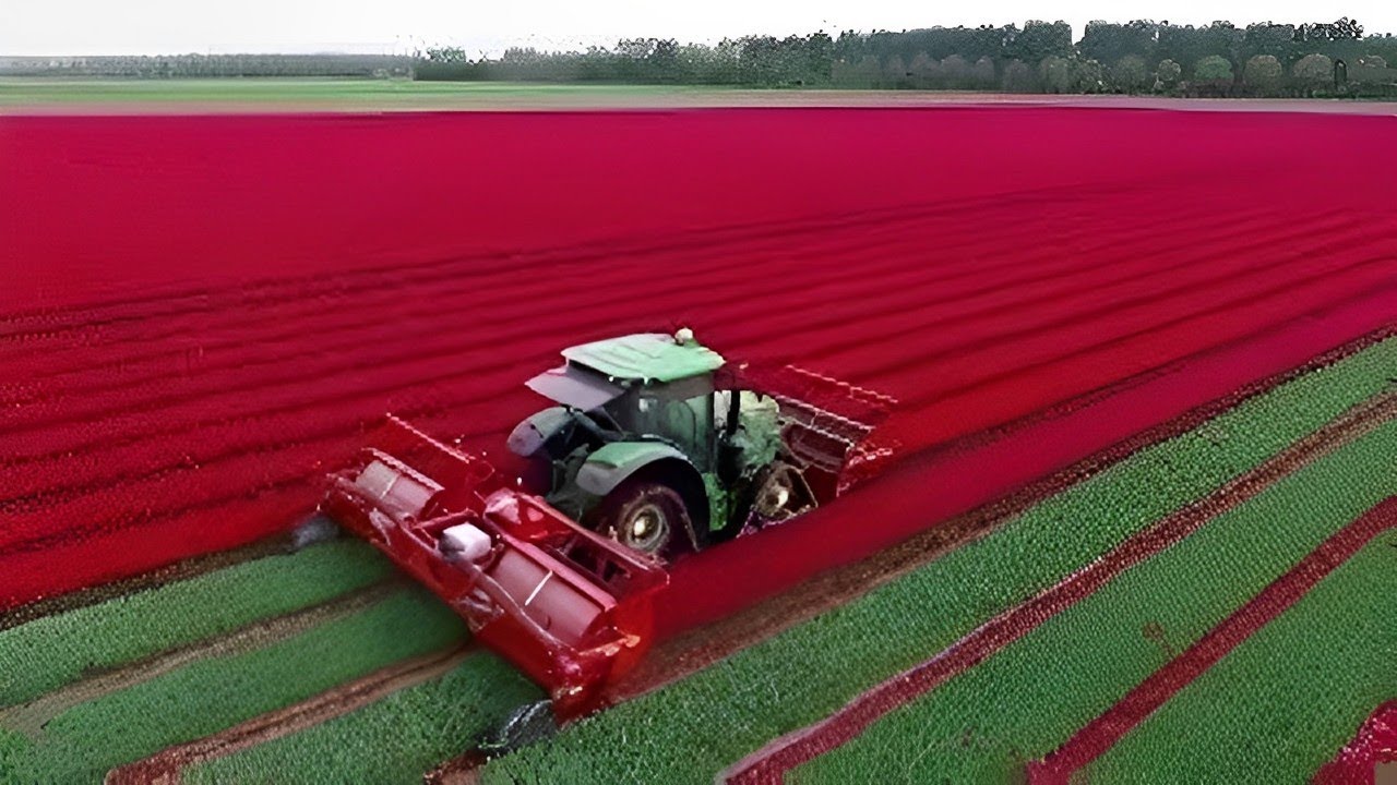 How Agriculture Technology 2023 is Shaping the Future of Food Production