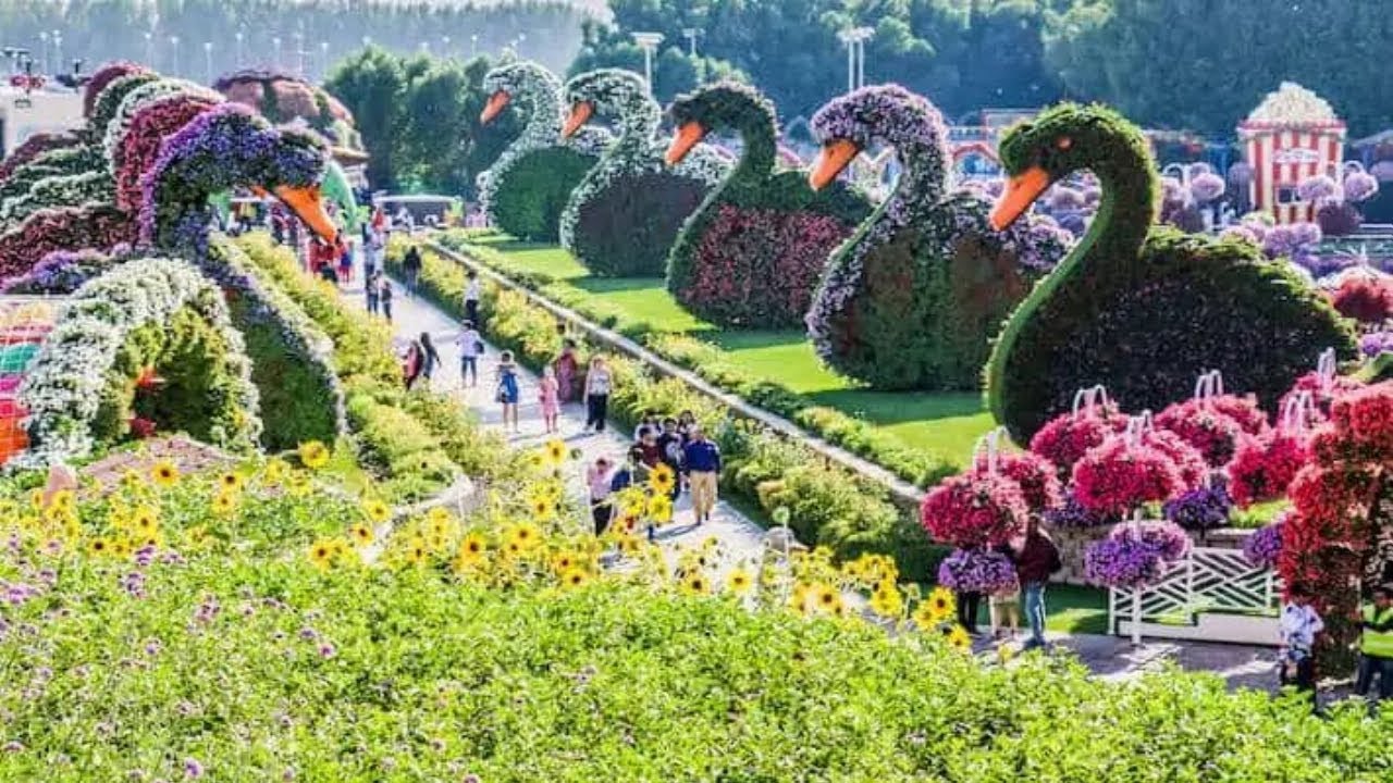 The Future of Agriculture Technology in 2023 – Flower on steroids !!