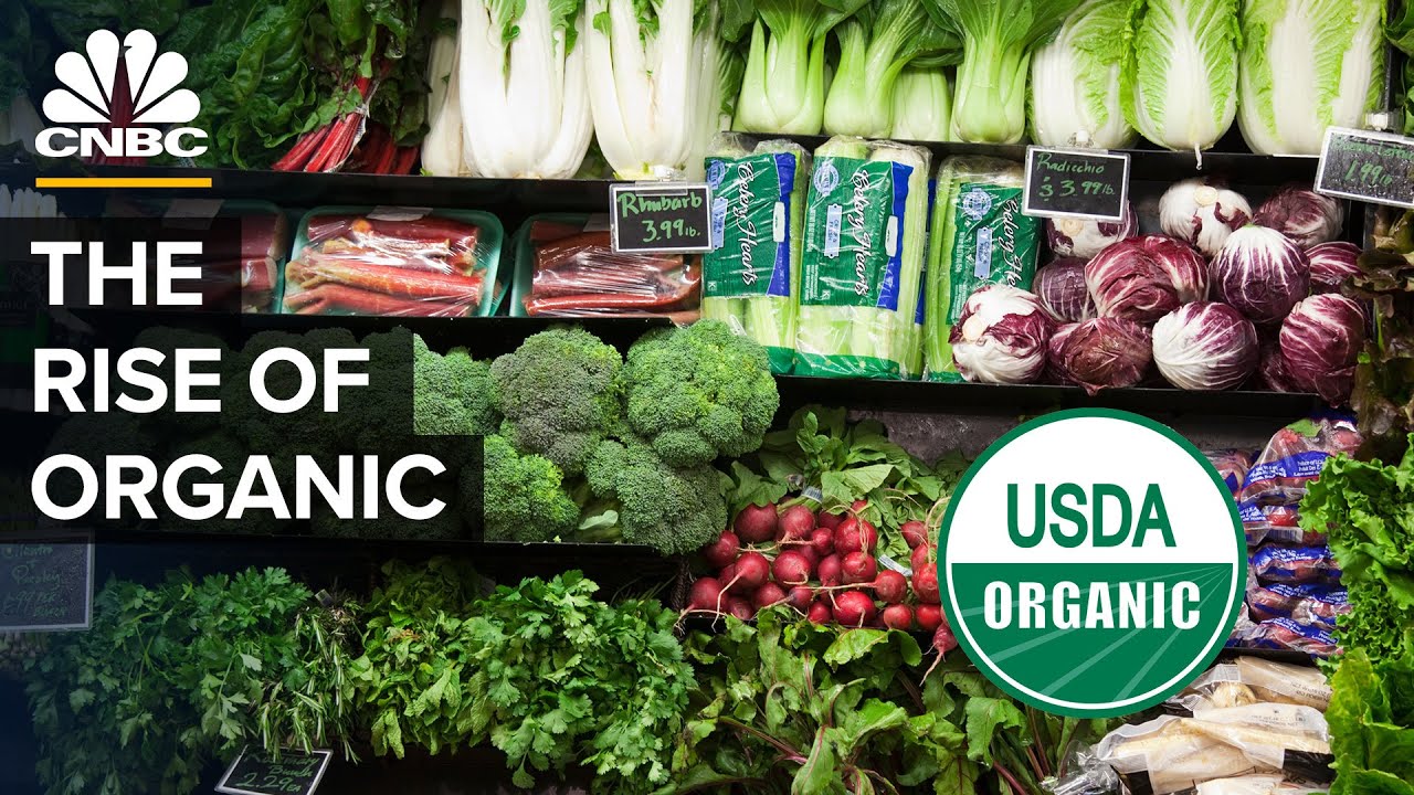 The Truth About Buying Organic Food